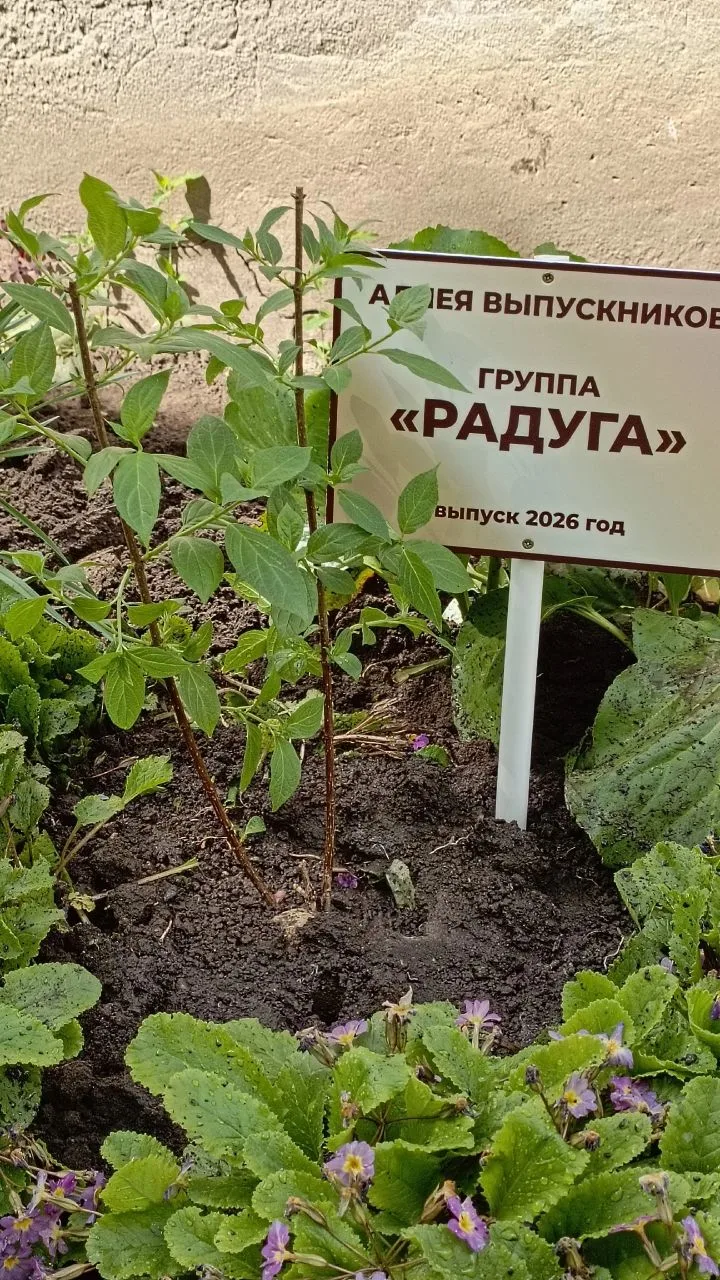 🪴Посадить на память дерево на аллее выпускников – это самая добрая традиция нашего дет...