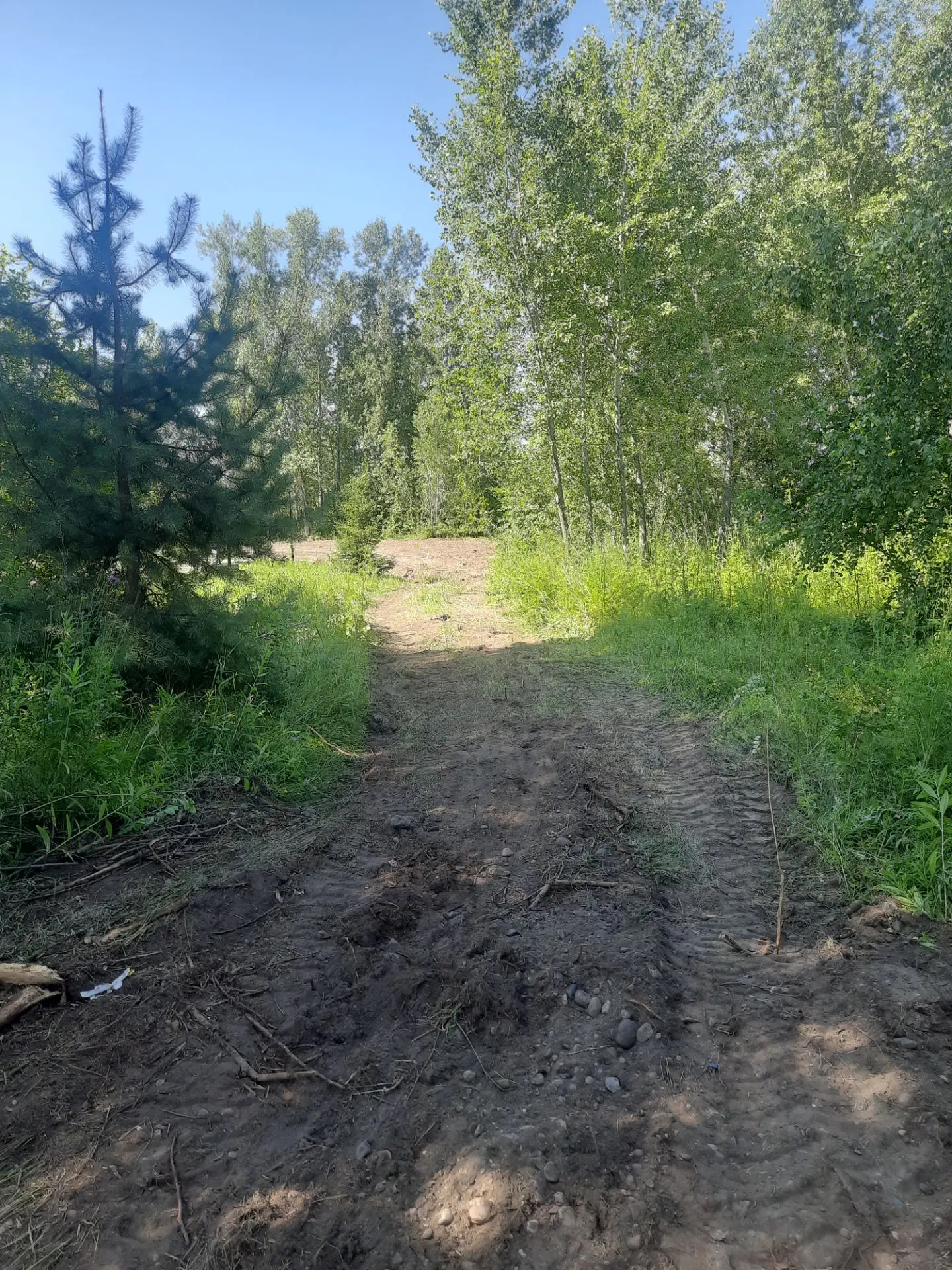 Здесь будет дорожка к Скверу с ул. Новогодняя