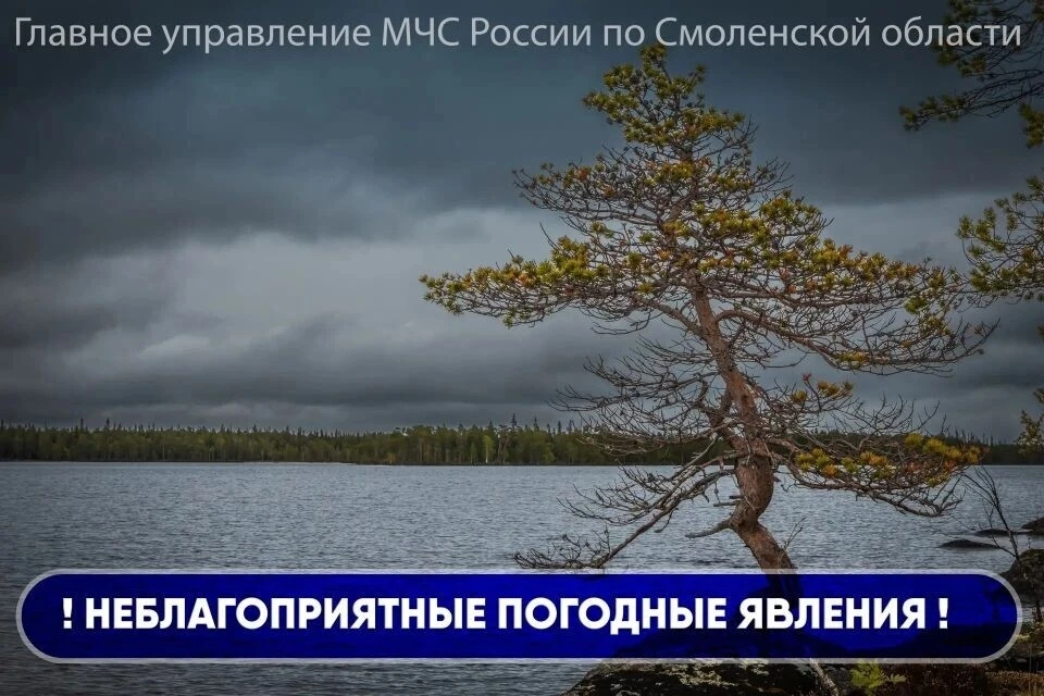 Уважаемые жители Угранского округа, обратите внимание! 📌

⚠ До конца суток 13 июня на территории См
