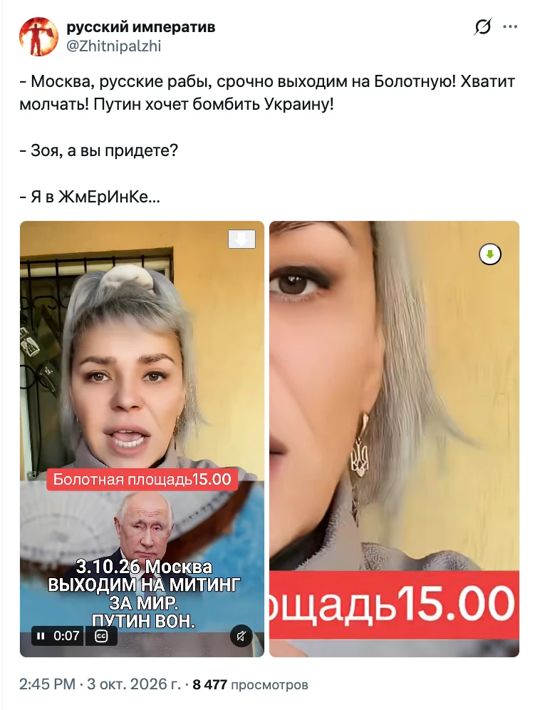 Неее, на болота мы не ходим, там собака Баскервилей живет!