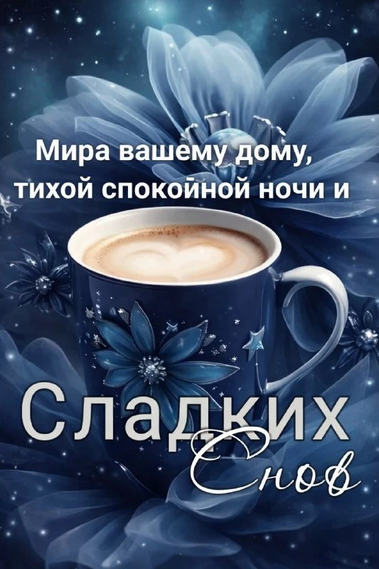 НАШИ КАНАЛЫ: