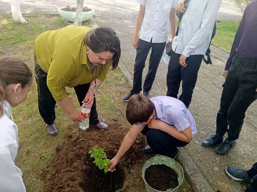 🌳 В нашей школе отметили День Эколят: год экологии завершился посадкой Дерева!