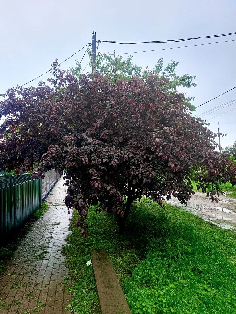 🌧 Воскресенье, в Белой Глине от +13 до +19, пасмурно, небольшой дождь. Погода шепчет: «Останься в кр