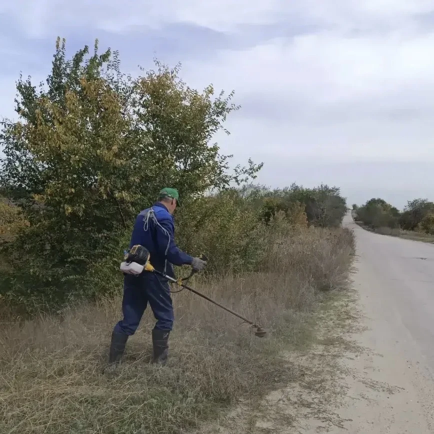 🌳 В Гагаринском районе продолжаются плановые работы по благоустройству