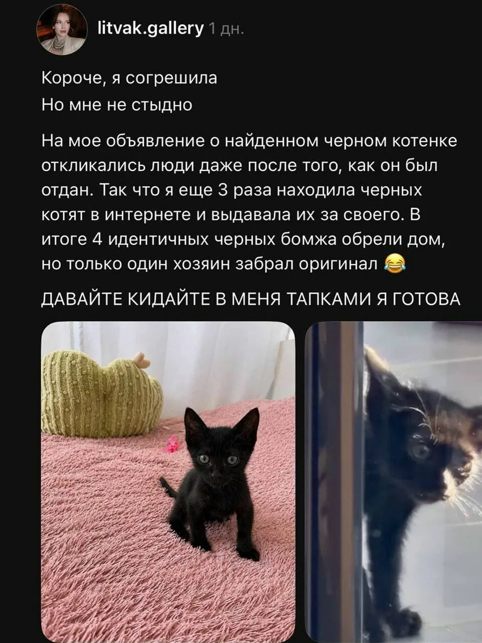 Девушка рассказала, что после пристройства найденного чёрного котёнка ей продолжали пис...