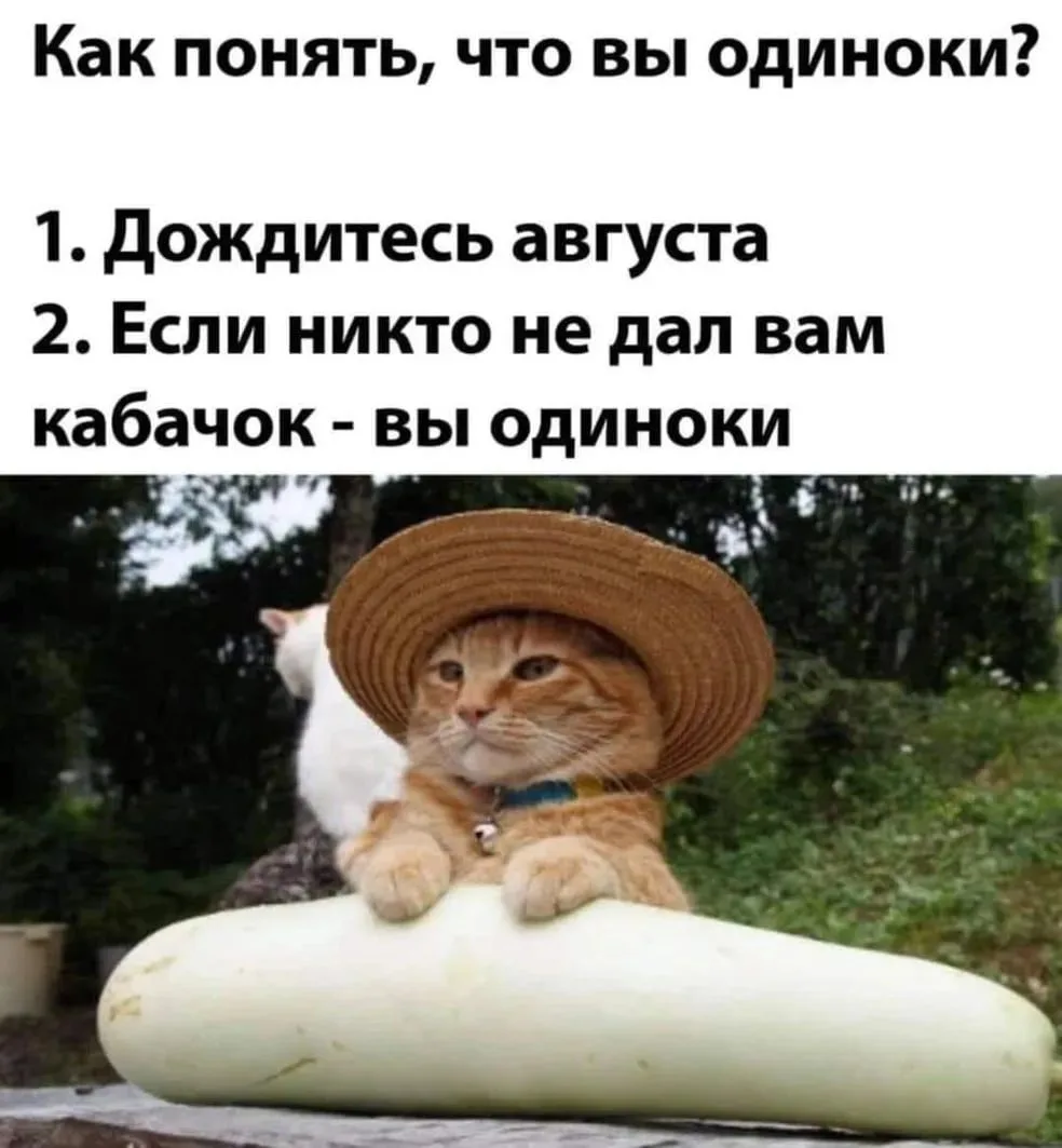 Каждый август, ощущаю свое одиночество