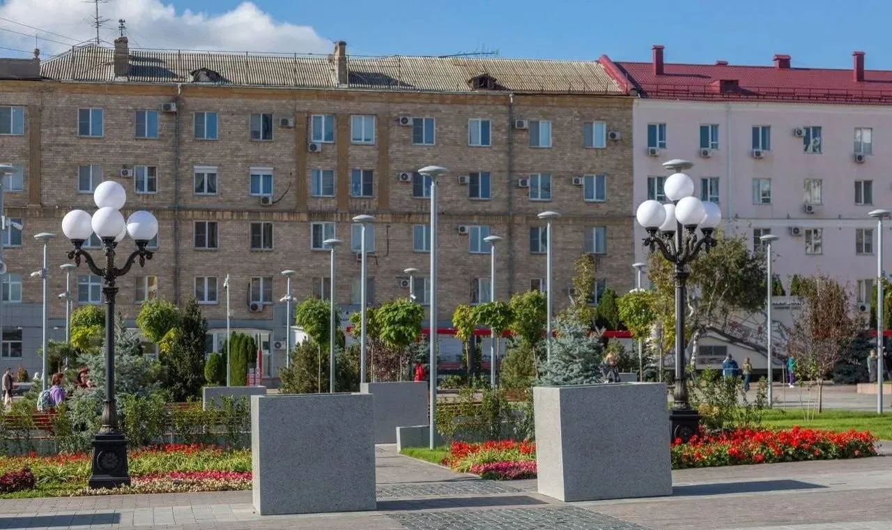 Пальмы отправили на зимовку с улиц Волгограда