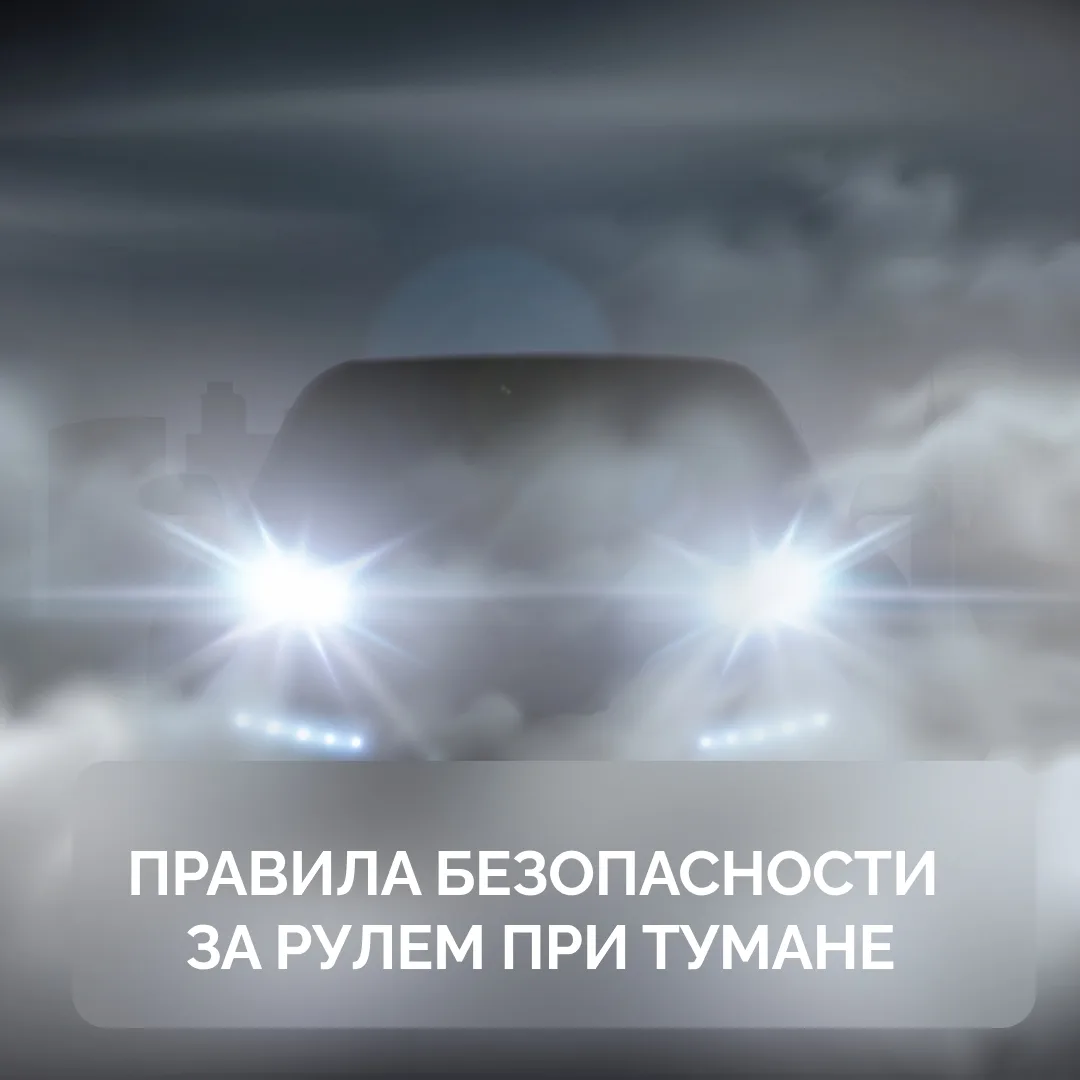Туман — один из самых коварных погодных факторов для водителя. Видимость может упасть д...