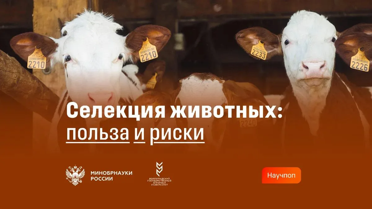 🐂 Как и зачем изменяют породы животных