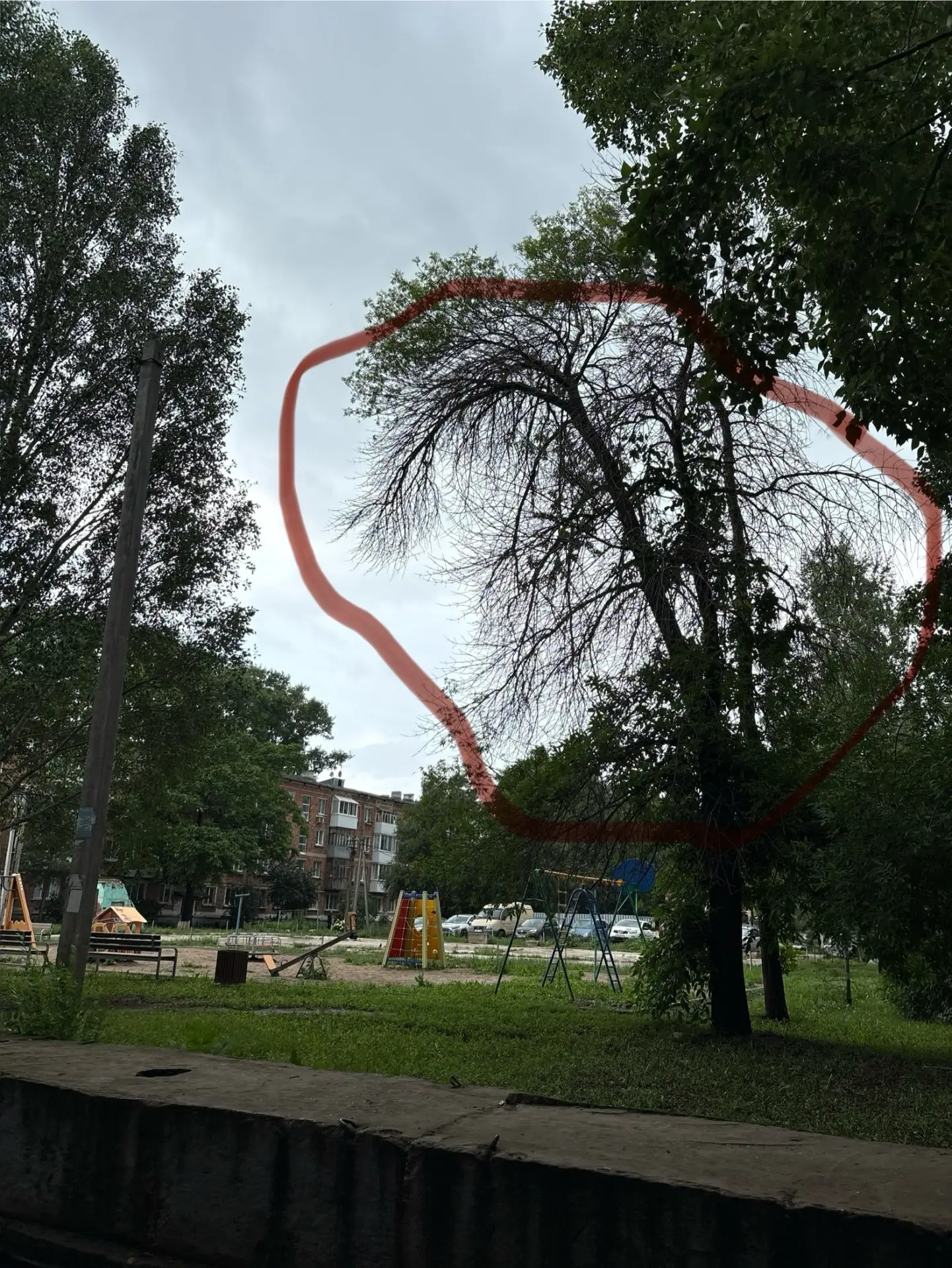 Во дворе ул.Пионерская д.16 (ближе к дому 18) стоит сухое дерево, наклоненное на новую ...
