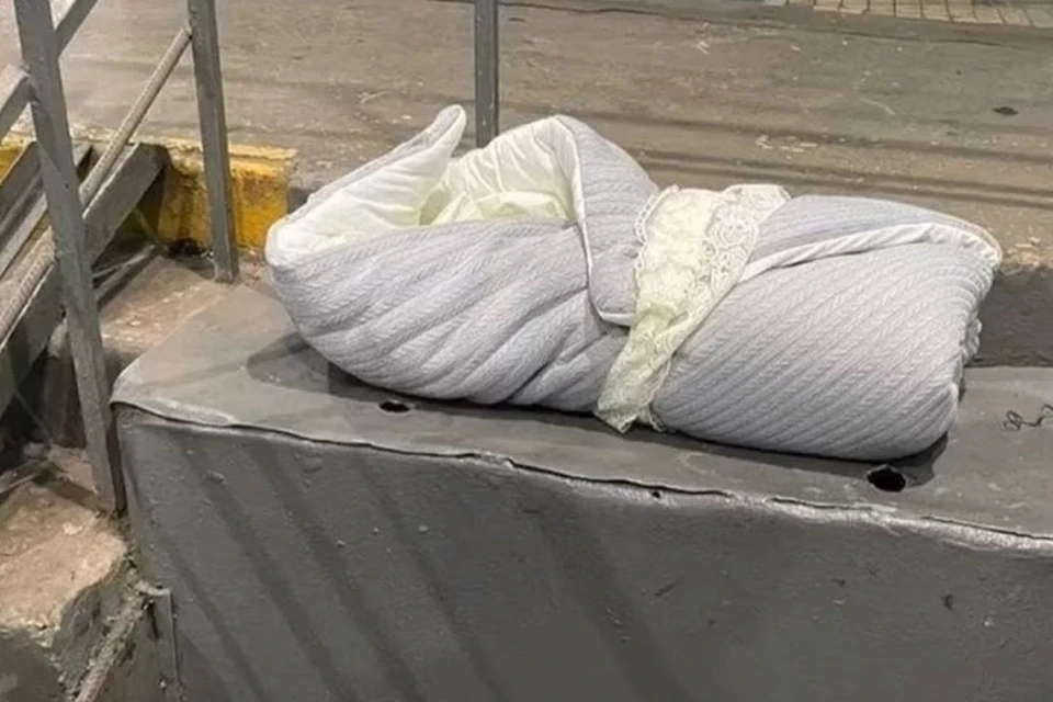 Жара стояла невыносимая. Дарья сидела за столом, разрезала абрикосы.