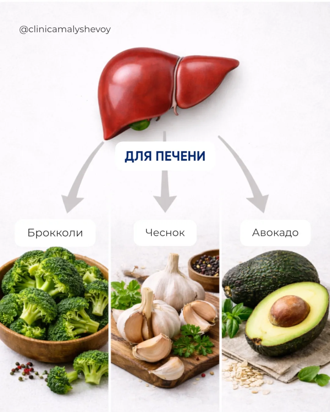 Помогите своим органам правильным питанием!
Включайте эти продукты в рацион:

🥑 Для печени:

• Брок