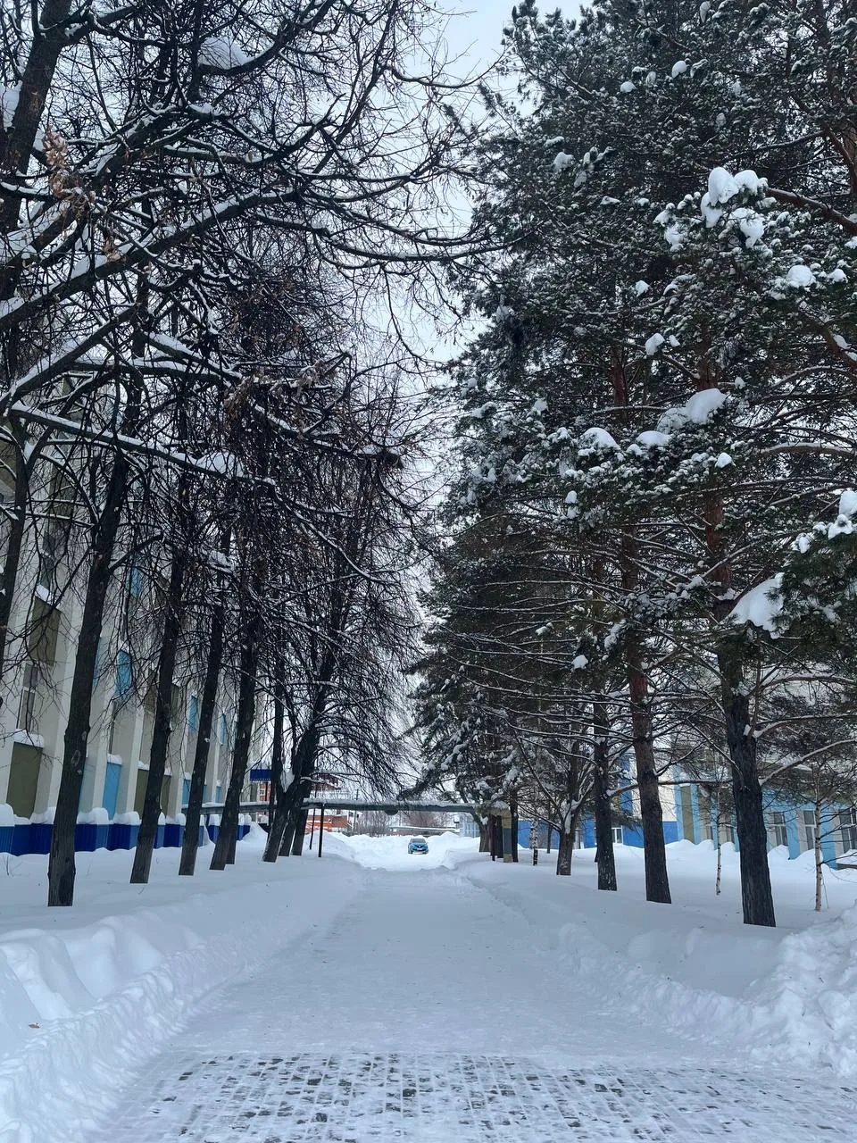 Доброе ❤️❤️❤️