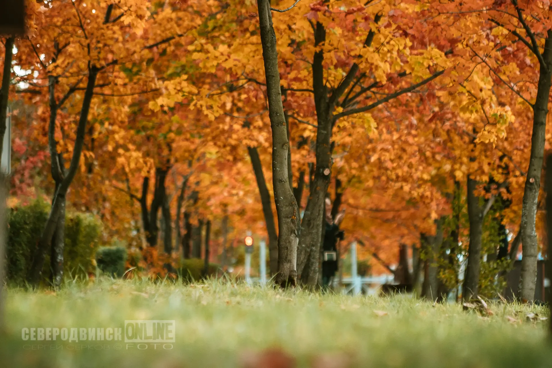 Осень в заводском парке 🍁🍂