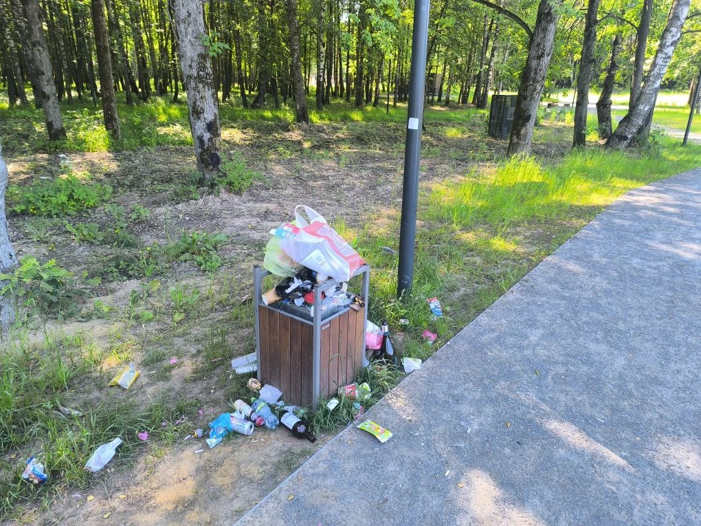 В парке "Дубрава" переполнены урны. Мусор валяется везде. Даже в пруду уже плавает.