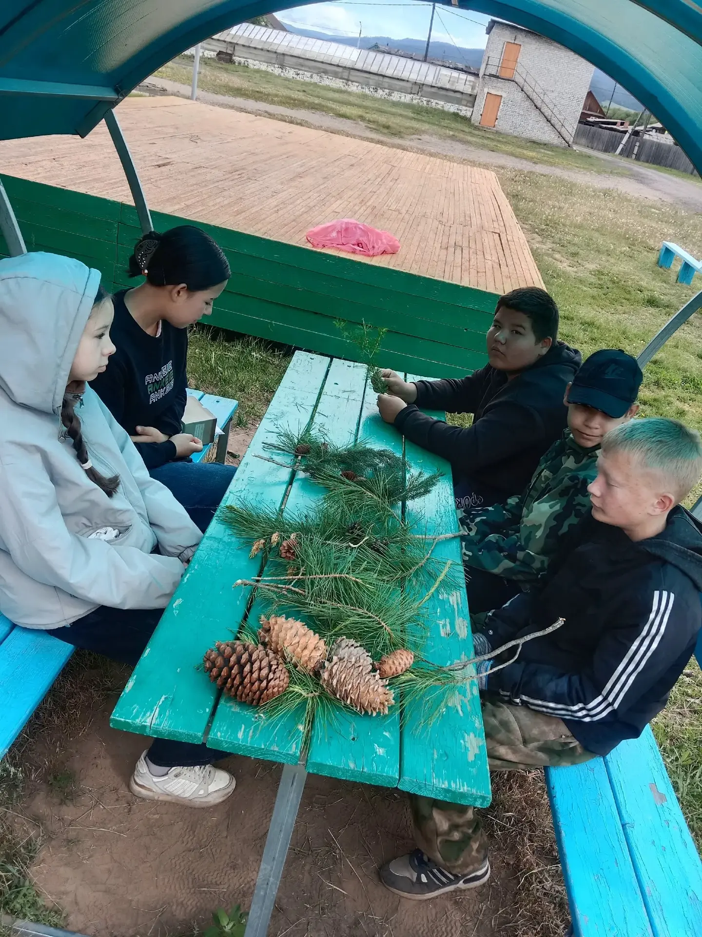 Заметки пришкольного лагеря от учителя биологии Грековой И.С.🌲
  Богат наш край лесом. И село наше 