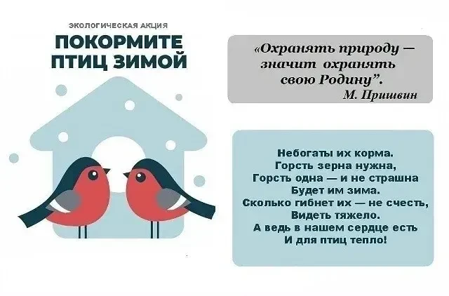 🕊️Ежегодно в нашей стране отмечается добрый экологический праздник - День зимующих птиц! Зимой птицы
