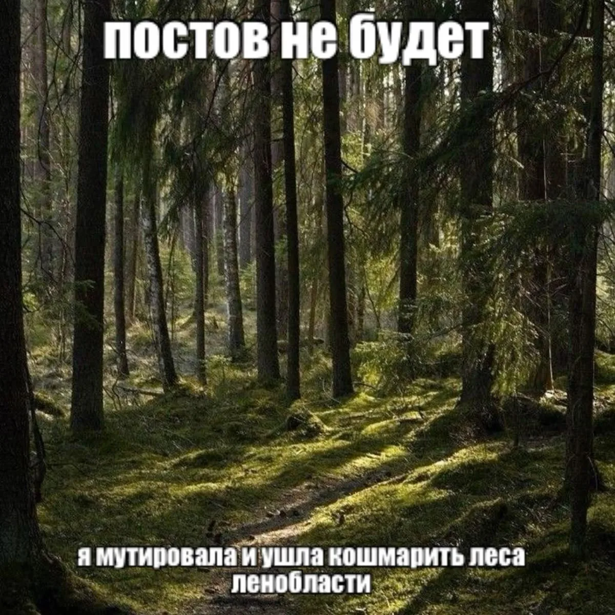 Извините…..