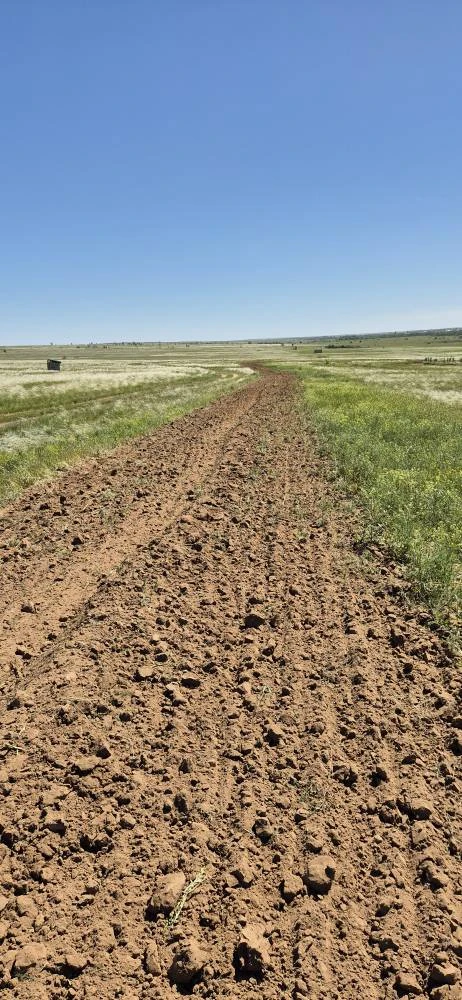 🌲🌳 В Саду Победы "Сталинград" позавчера 23 мая 2026 г. осуществили противопожарную оп...