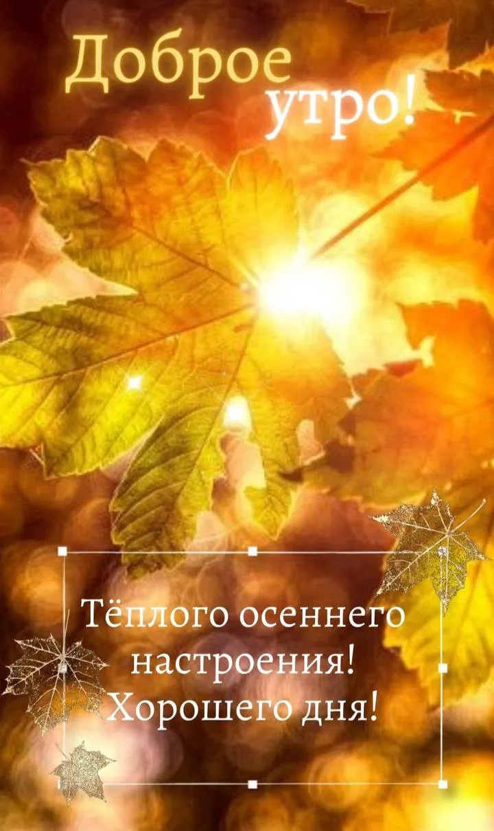 Понравилась открытка? Оставьте, пожалуйста, реакцию 🩷
