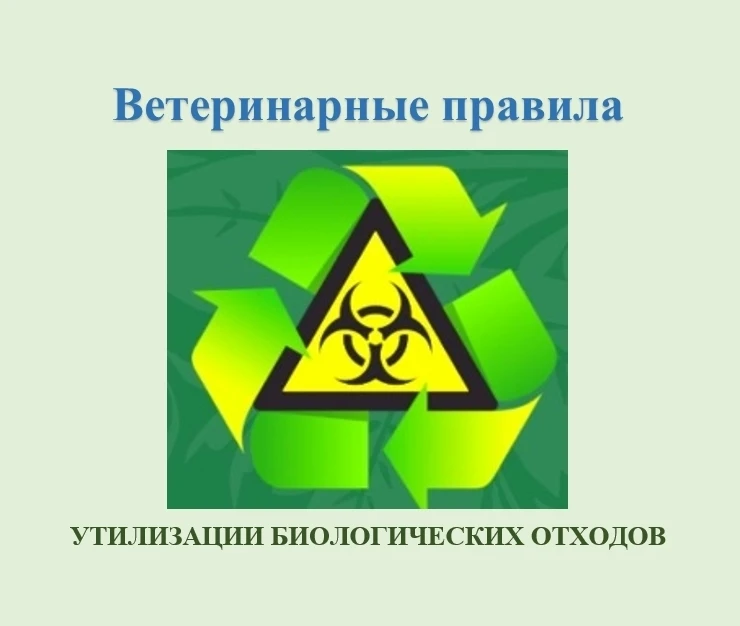 Некоторые обязанности владельцев животных по утилизации биологического материала, установленные зако
