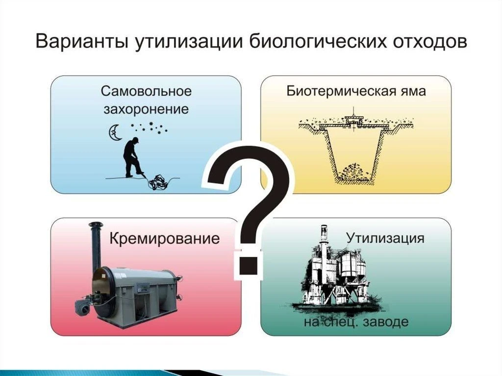 Уважаемые жители муниципального округа Карпинск!
Региональный оператор ООО «Компания "Рифей“, которы