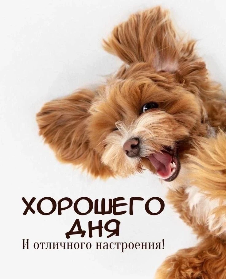Доброе утро | Подпишись👇🏻