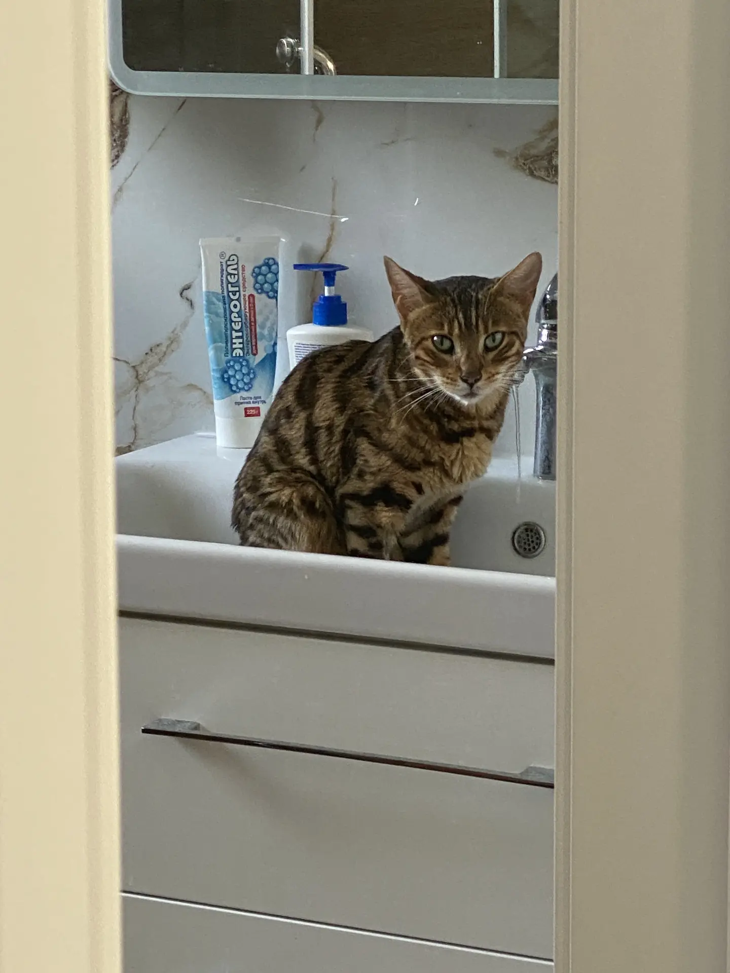 Сегодня Синди с самого утра сидит в раковине. Вода 💧 течет тонкой струйкой, но она ее ...