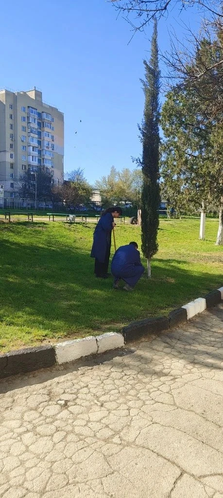 Чистота начинается с нас! 📡🌿