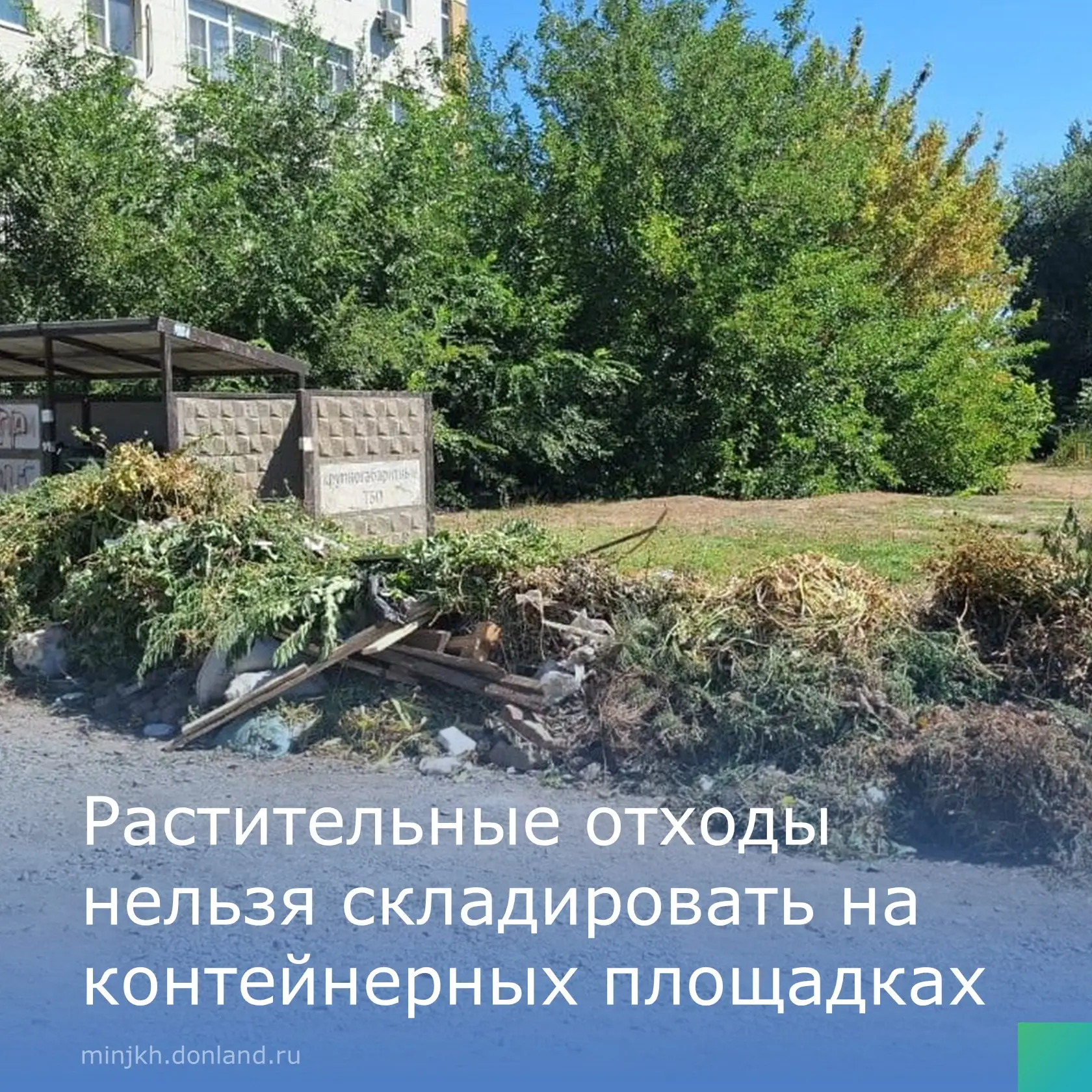 Напоминаем: древесно-кустарниковые отходы — ветки, листья, порубочные остатки — не отно...