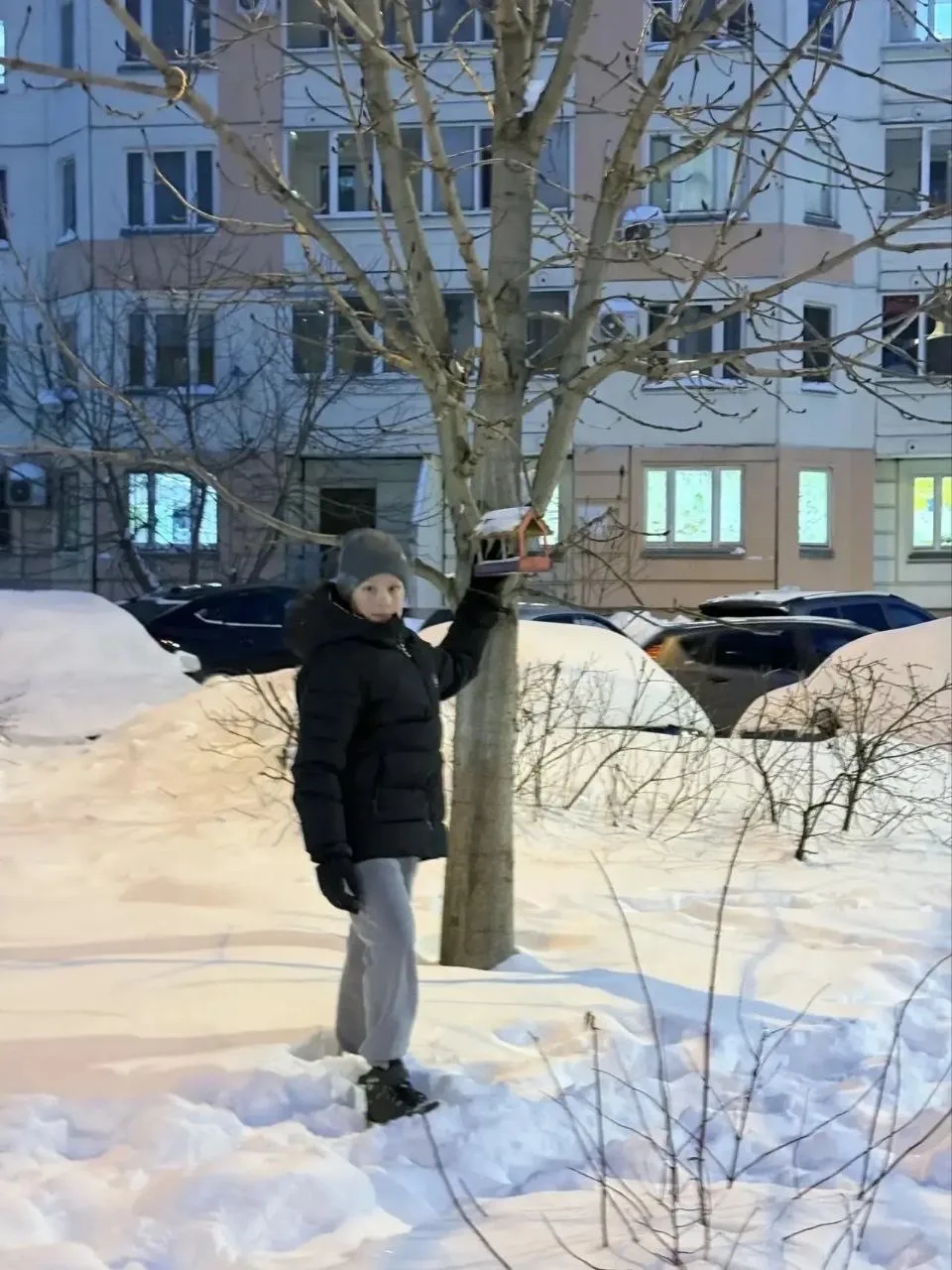 🐣Юные эколята школы принимают участие в региональной акции «Покорми птиц» 🐦В рамках Акции проходят м