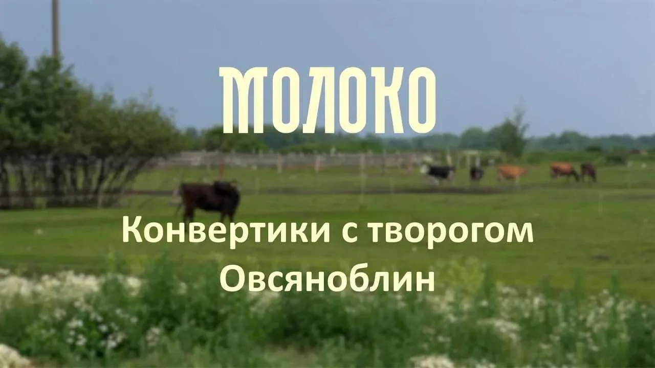 Сегодня запускаем блинчики и складываем конвертики.
Конвертики с творогом. Овсяноблин | проект «Моло
