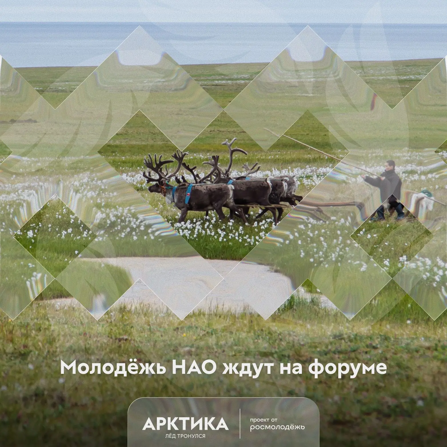 ⚡️Секретная рассылка для молодёжи НАО: на форум «Арктика. Лёд тронулся» появилось неско...