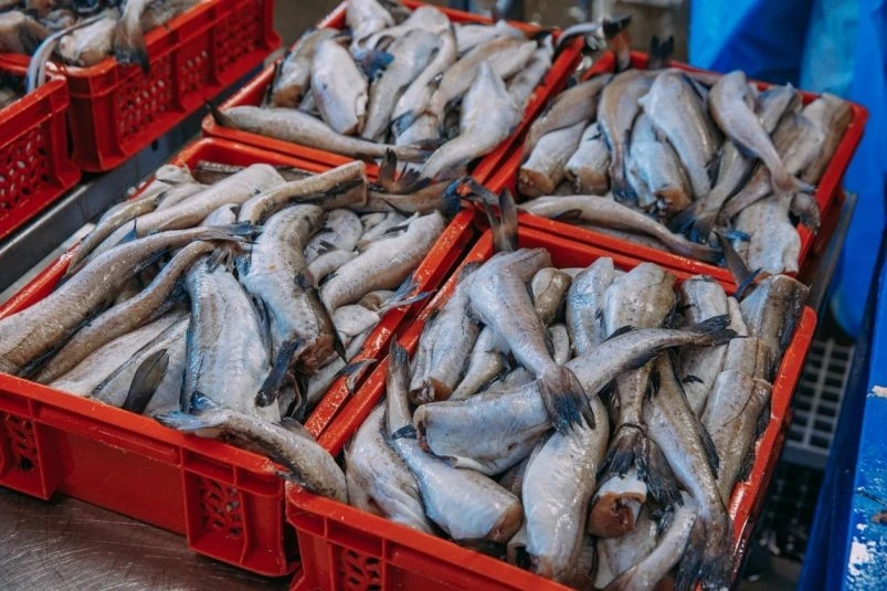 🐟 В Магадане прокуратура выявила завышенные цены на минтай