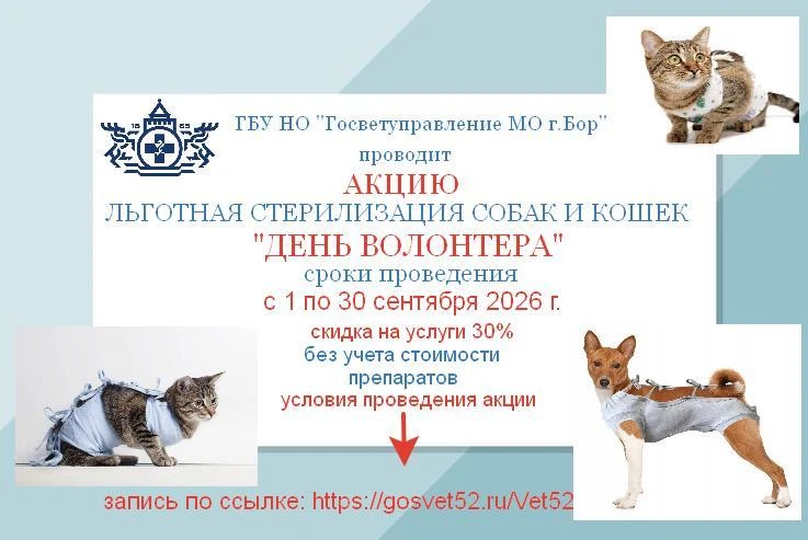 ‼ ВНИМАНИЕ АКЦИЯ  «ДЕНЬ ВОЛОНТЕРА» ‼
