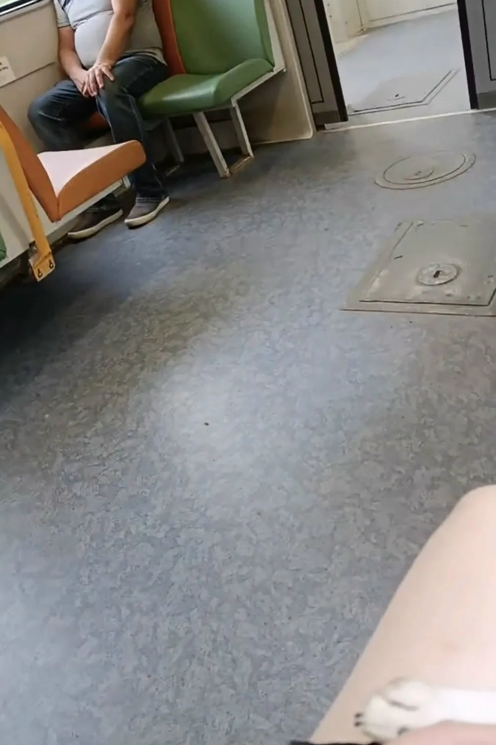 Вот такие будни подмосковных электричек 😳