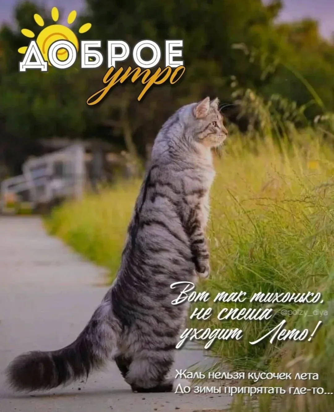 ☀️Доброе утро!