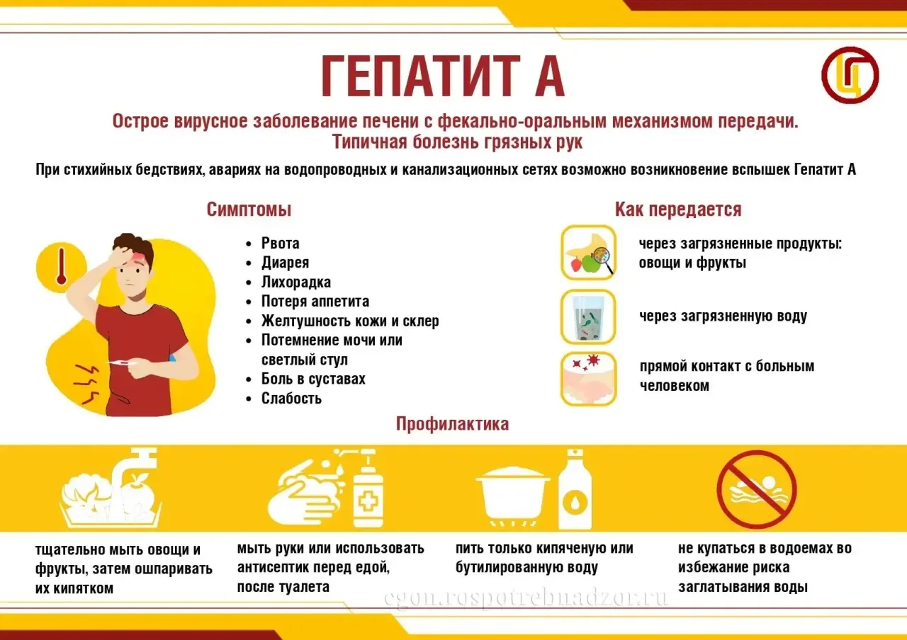 🖐 Заболеть гепатитом А может любой: и ребенок, и взрослый, независимо от возраста и социального ста