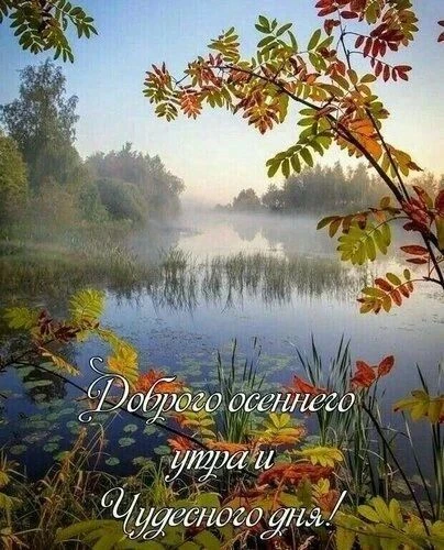 ⚡Народные приметы на 5 октября