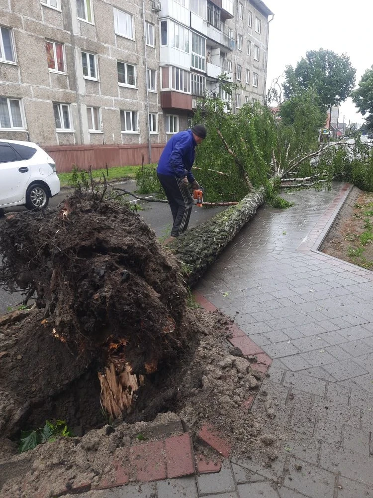 ⚡«На страже города: ликвидируем последствия урагана»