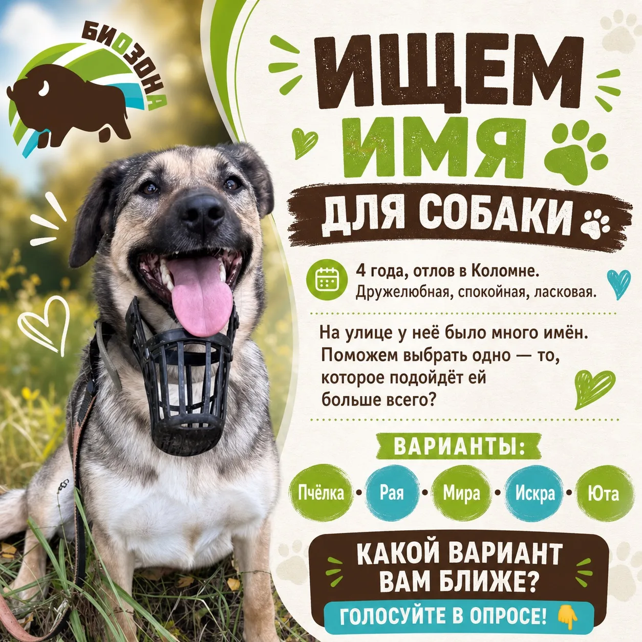 Выбираем имя для нашей новенькой! 🐾