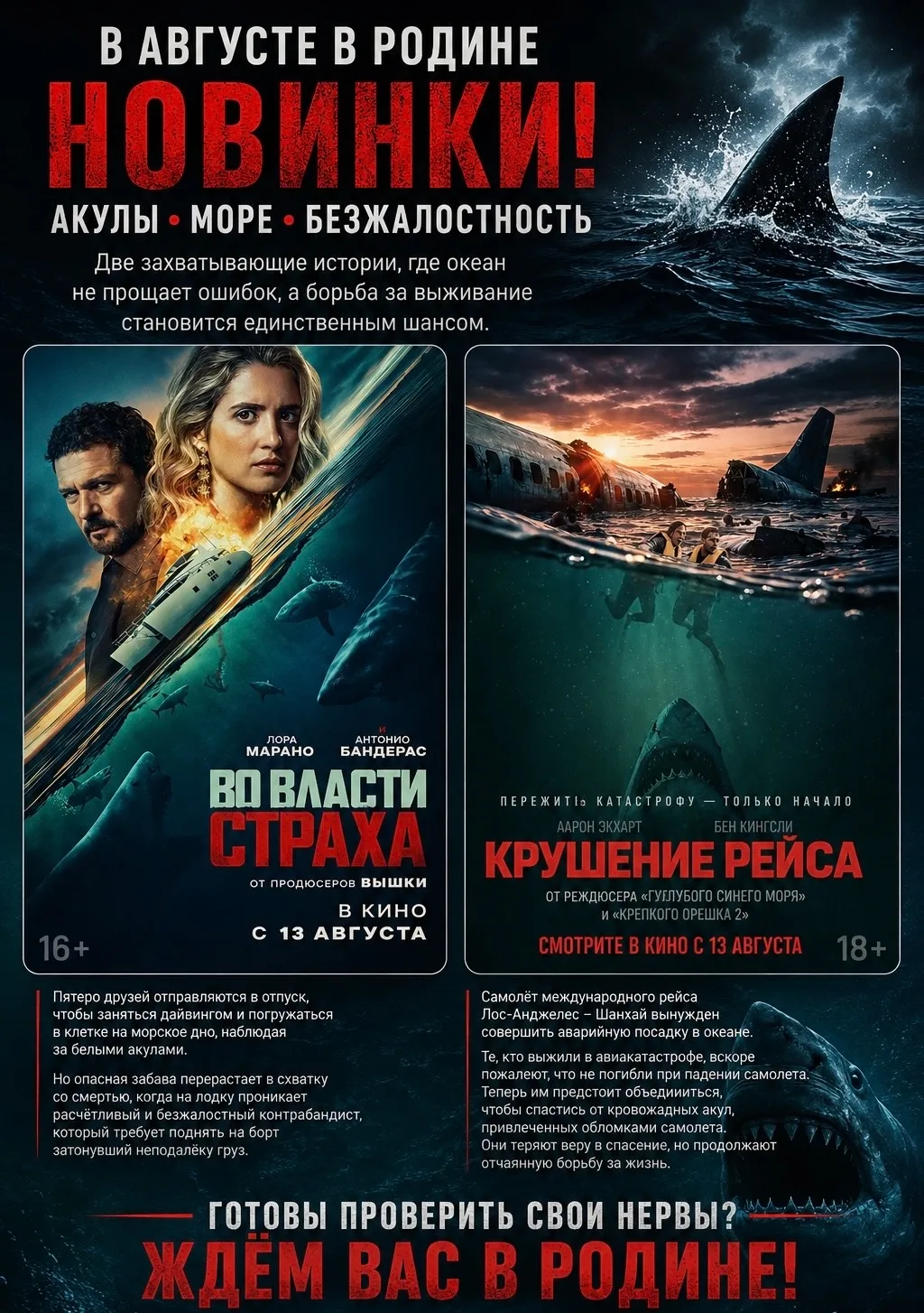 🦈 Море не прощает ошибок…

Август в «Родине» обещает быть по-настоящему напряжённым. На больших экр