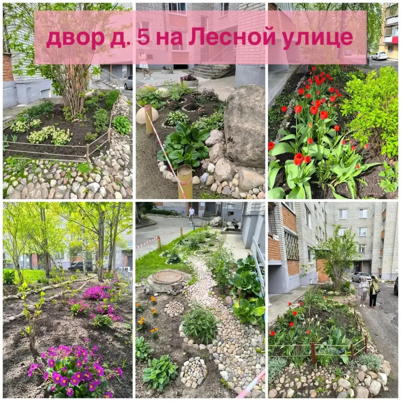 Подвели итоги городского конкурса «Мой цветочный Петрозаводск»! В этом году он состоялс...