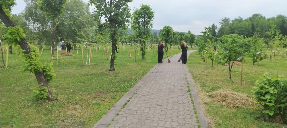 АКТУАЛЬНО | НА БЛАГО ГОРОДА
#Школа2Междуреченск 

🧡 Лагерь труда и отдыха «Капитал»: работа, котора