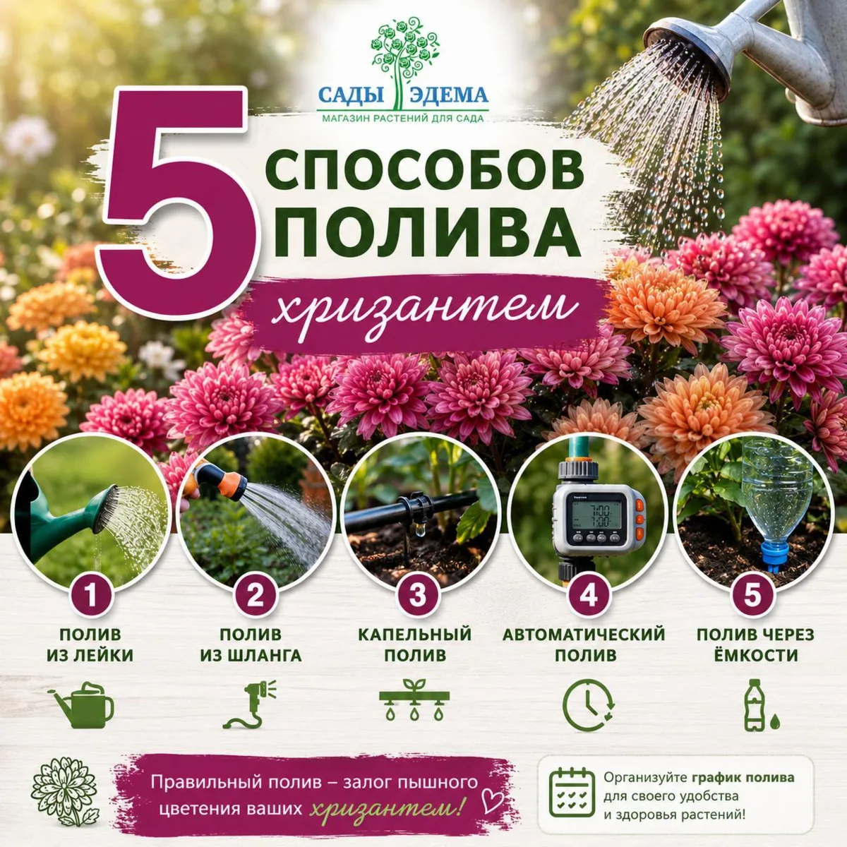 🌼 5 способов полива хризантем

Чтобы хризантемы радовали обильным цветением, важно обеспечить им 
