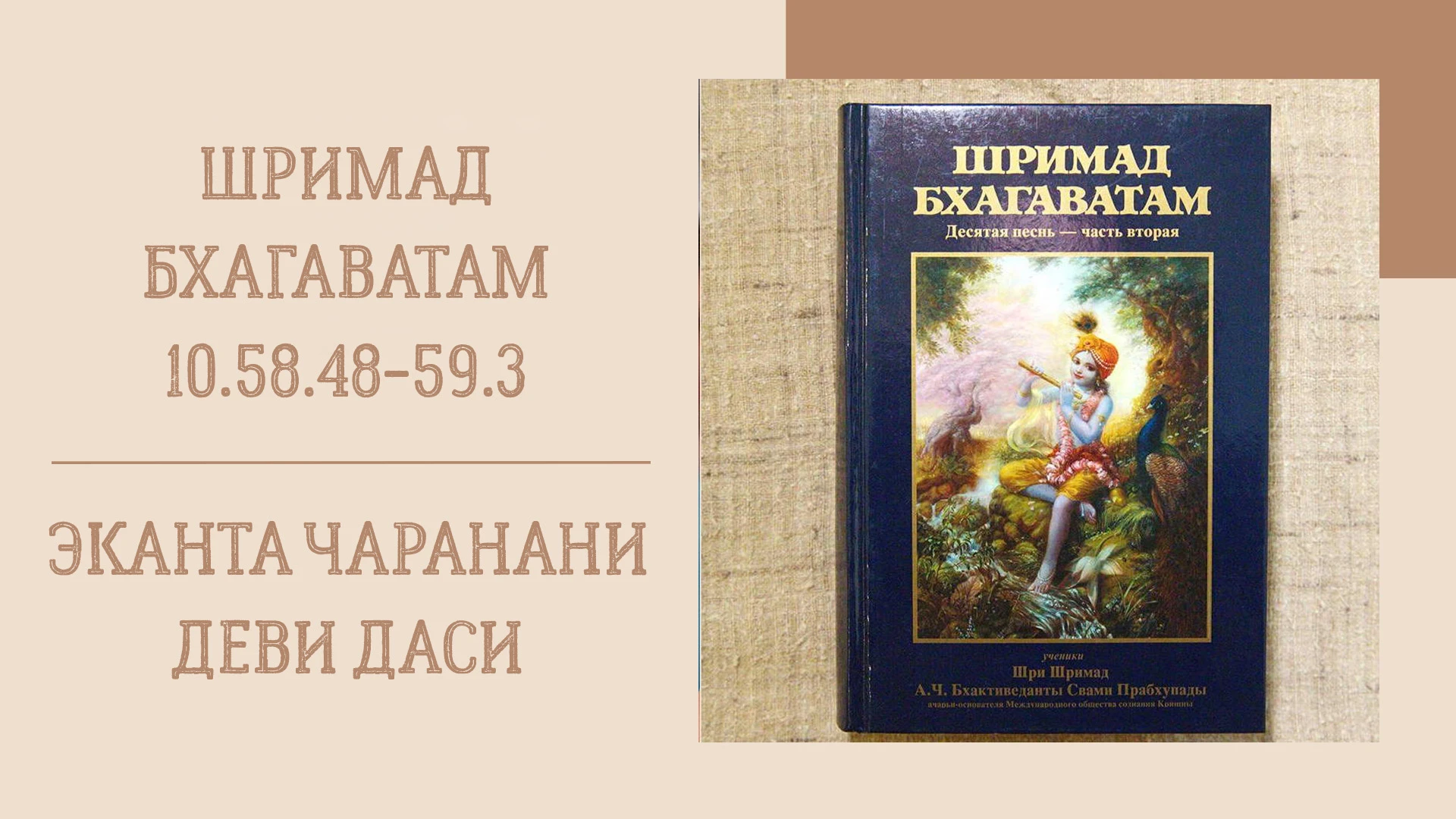 📖 Утренняя лекция