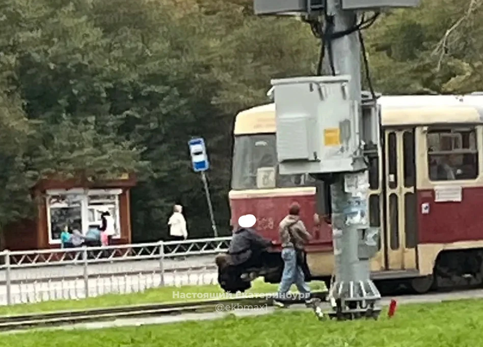 Разберитесь со своими отпрысками, пожалуйста!