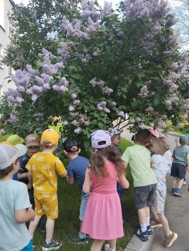 🌸 День сирени в 9 группе Корпуса 4  18 мая — День сирени! В воздухе витает настоящий аромат весны и 