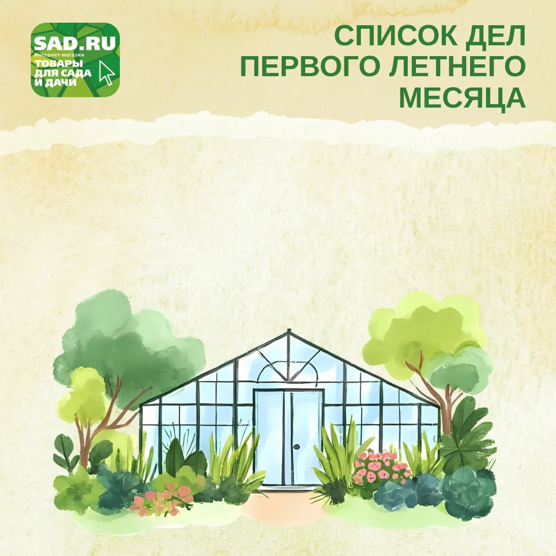 🤩Всех с наступившим календарным летом.
 
🦋Июнь этого сезона сопровождается тёплой и дождливой пого