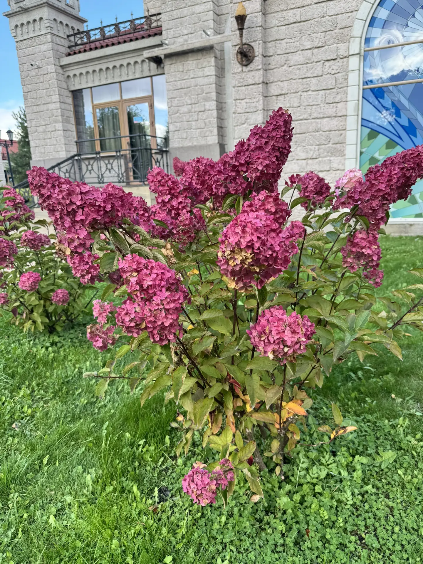 Доброго времени суток, дорогие ☀️